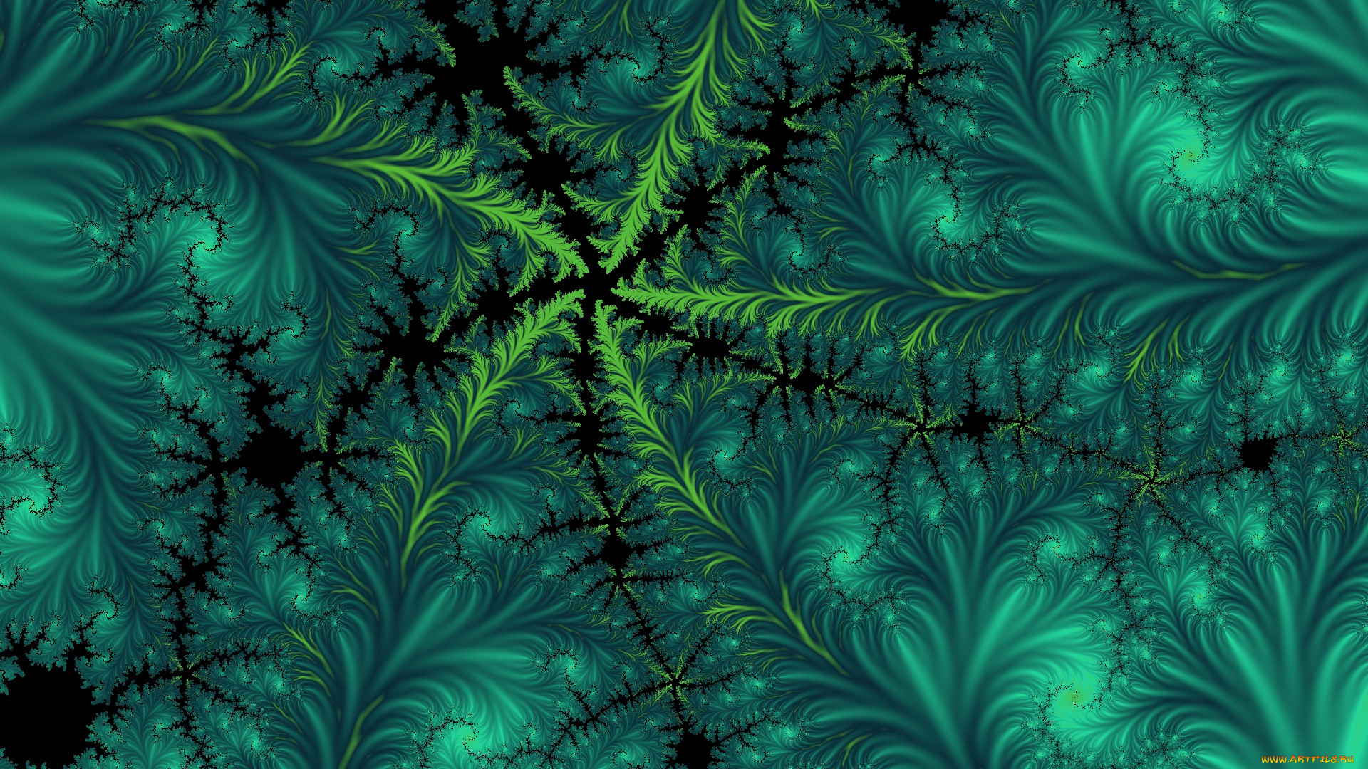 3 ,  , fractal, , , 